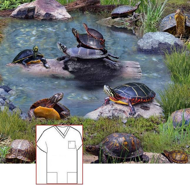 Tall turtle trails animal print scrubs