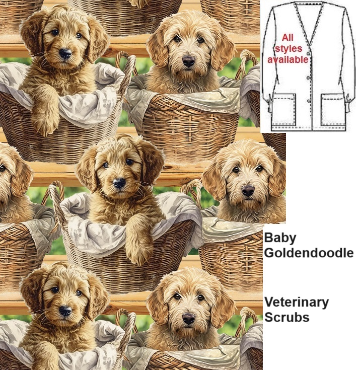 VET10423 - Baby Goldendoodle vet scrubs