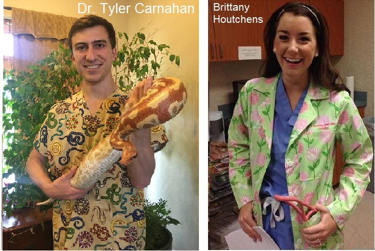 veterinarian wearing animal print scrub top while holding a snake