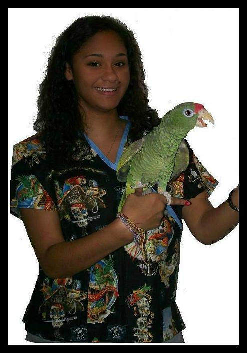 RM1914XS - Pirate Parrot Party Petite Mock Wrap Scrub Top