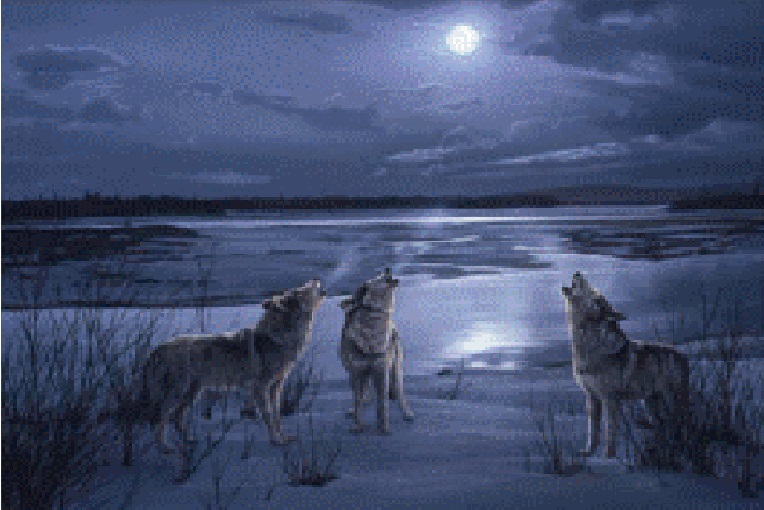 AW4223 - Moon Song animal wolves print scrubs