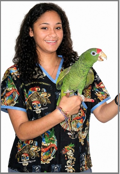 RM1914XS - PIRATE PARROT PARTY Petite Mock Wrap Scrub Top