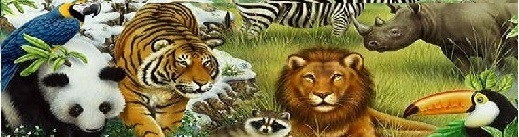 animal print scrub top page banner