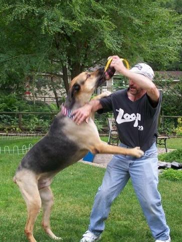 Roger Schiller with dog Max