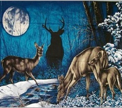 scrub top fabric showing scenic deer image