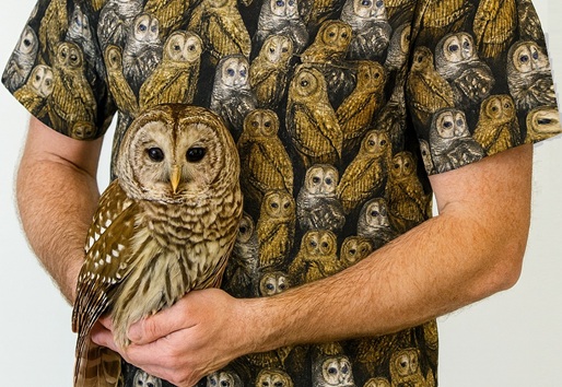 man holding barred owl wearing owl print scrub top