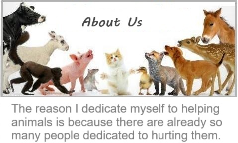 about us at TopSpot4U custom scrubs