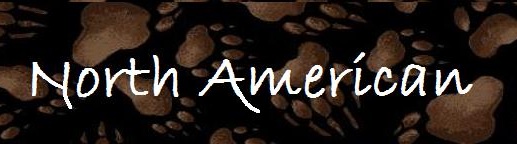 banner for North American animal print scrub tops