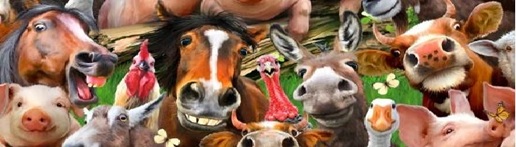 animal print scrub top banner