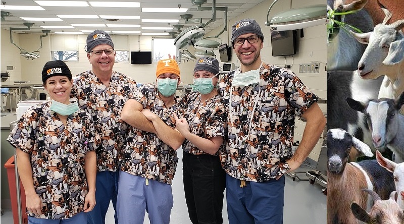 group from Institute of Ag wearing animal print scrubs with goats