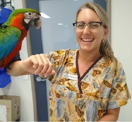 Australian Vet Tech and parrot wearing vet scrubs in office