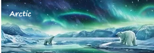 arctic wildlife scrub top banner