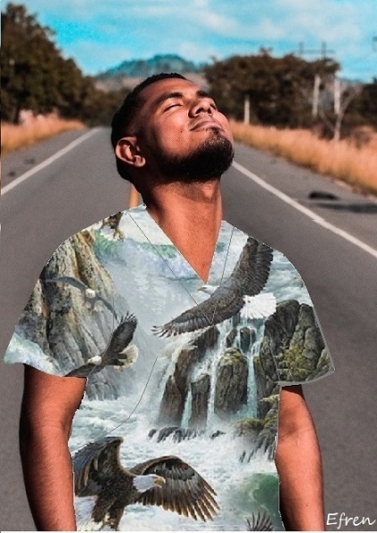 North American Wildlife Scrubs North American Wildlife Scrubs