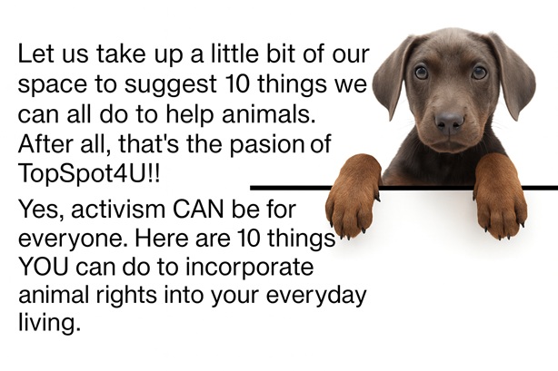 Dog with TopSpot4U message: 10 ways to help animals