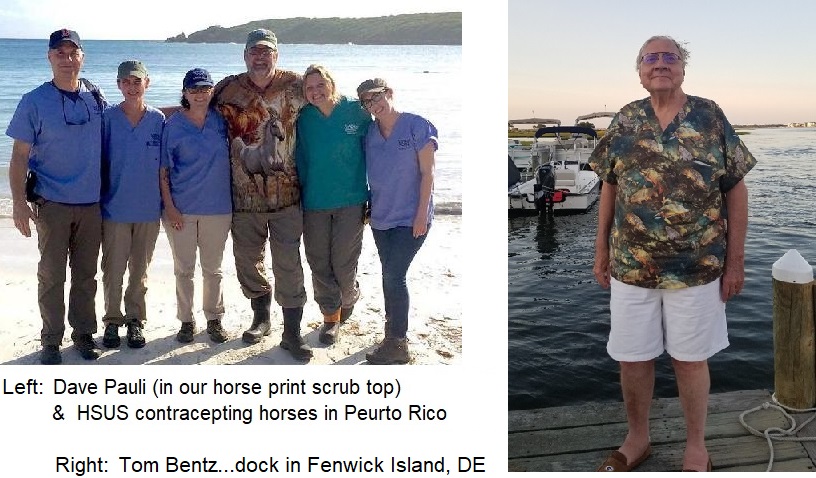 people standing in front of water wearing printed scrub tops