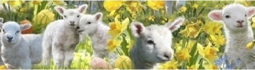 farm animal scrub top banner