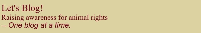 blog banner for raising awareness for animal rights