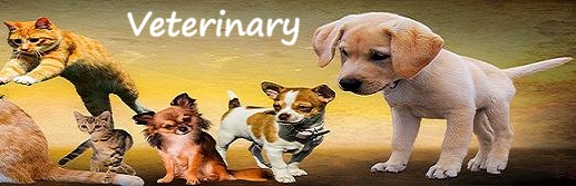 veterinary scrub top banner